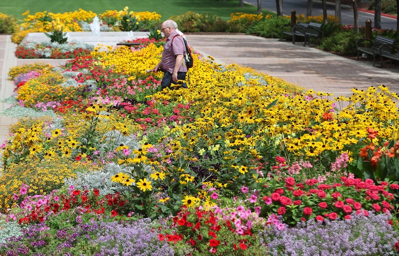 Two people walk near yellow, red and pink blooming flowers at BYU.